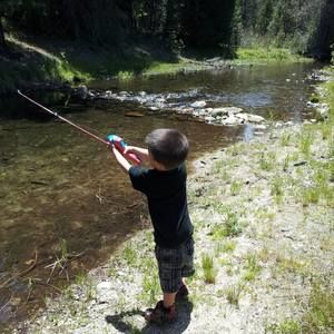 Meet your Posher, Nancy